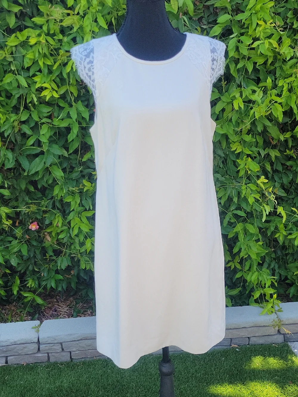 J. Crew Cream Women's Dress With Lace Sleeves Sz  10
